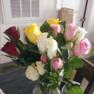 Meet your Posher, Leslie